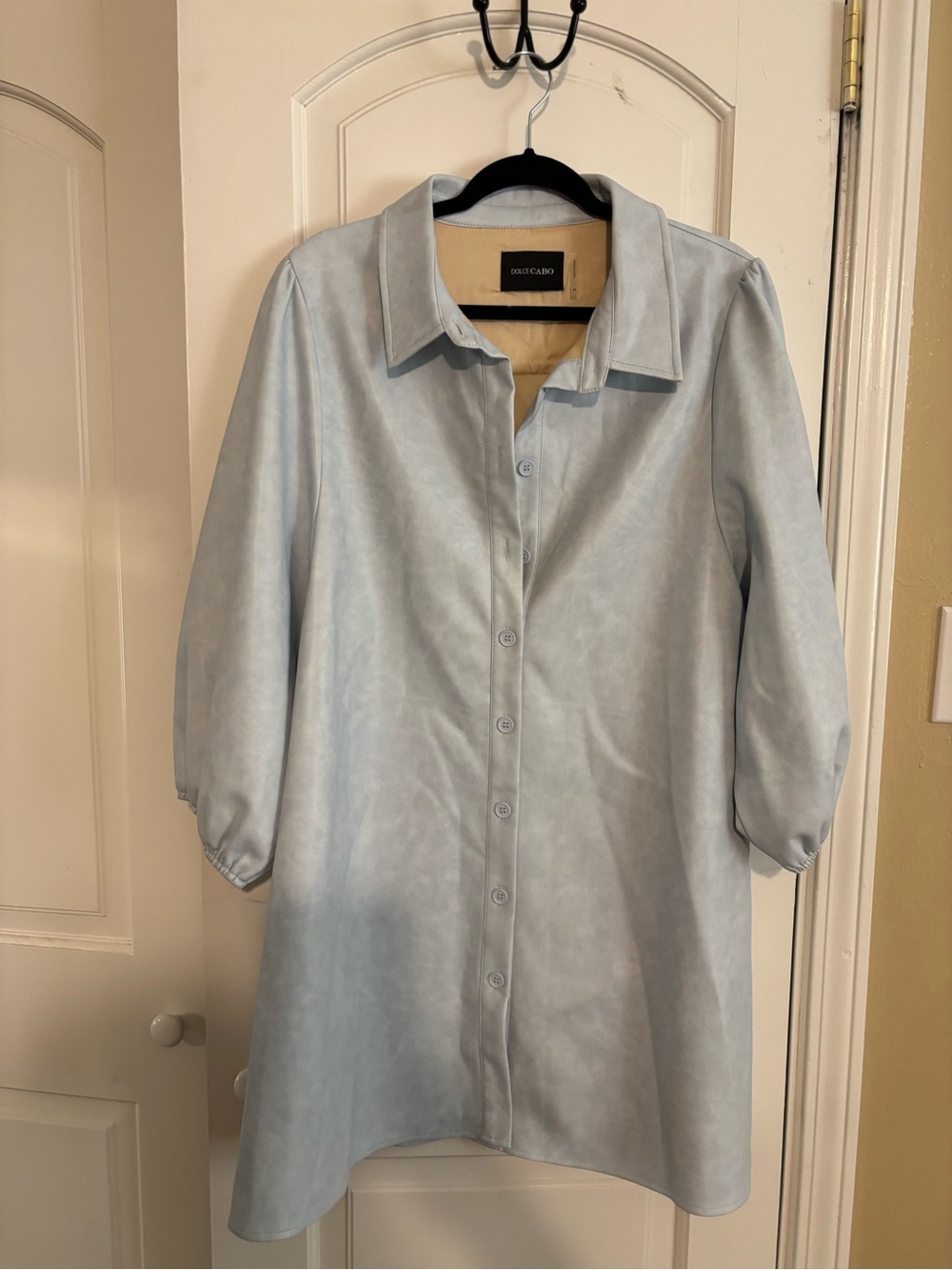 Dolce Cabo Pale Blue Vegan Leather Dress